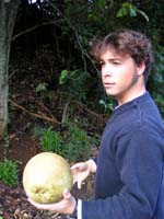 gael et son pamplemouss.jpg (600x800)